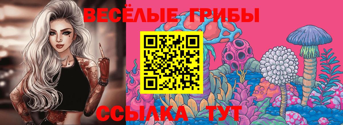 Галлюциногенные грибы GOLDEN TEACHER  Вход с VPN  Псков 