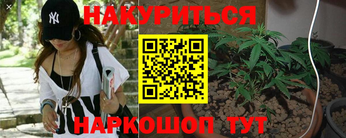 Бошки марихуана план Псков